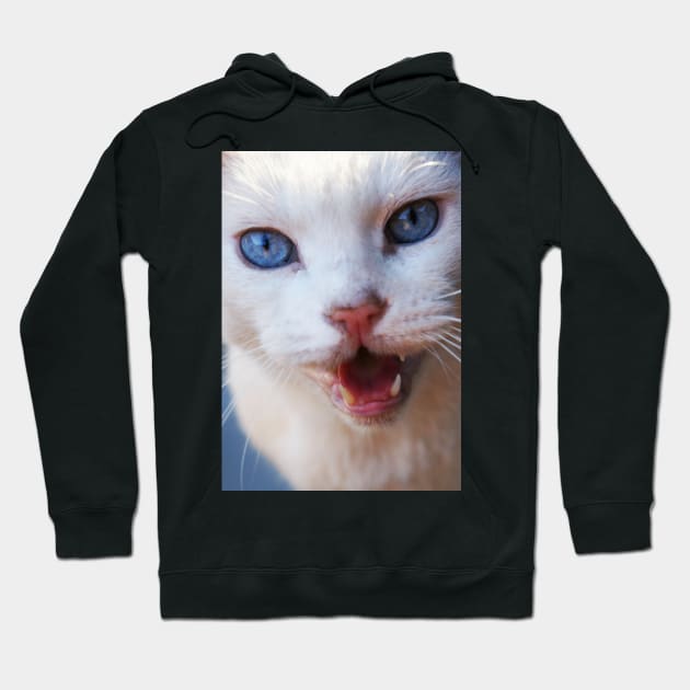 White Cat's Meow Hoodie by 1Redbublppasswo